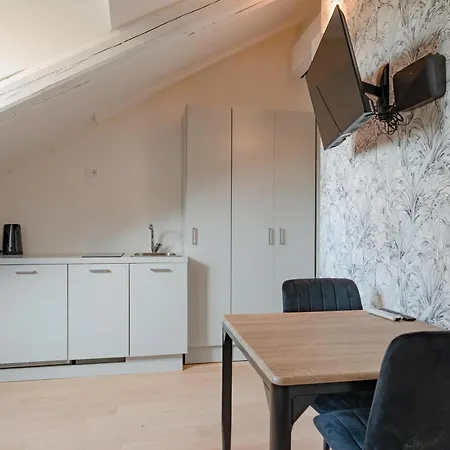 Appartement Mozart & Chopin By Toh Solution *