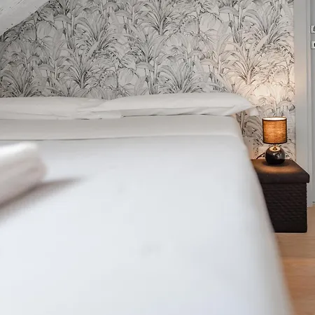 Mozart & Chopin By Toh Solution * Torino