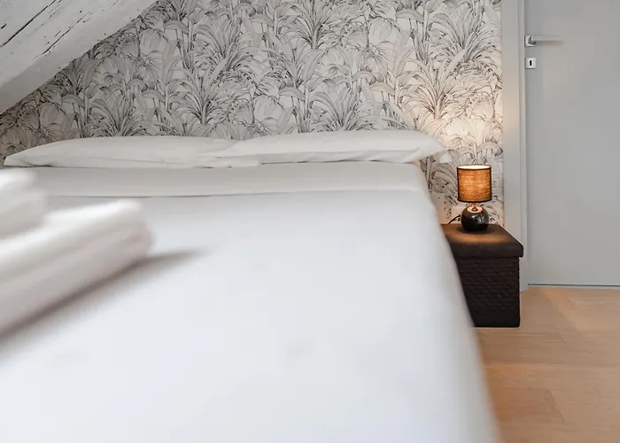 Suites Mozart & Chopin By Toh Solution * Torino