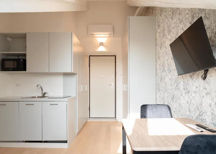 Appartement Mozart By Toh Solution Turijn