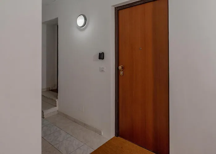 Mozart By Toh Solution Turijn