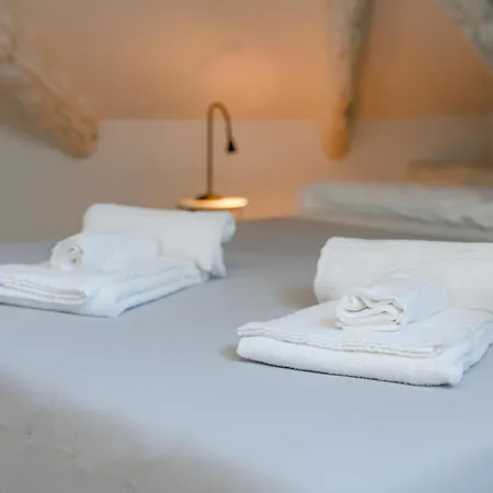 Mozart & Chopin By Toh Solution トリノ