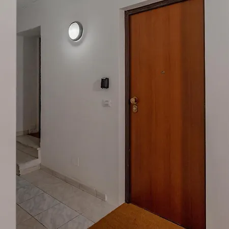 Mozart & Chopin By Toh Solution トリノ